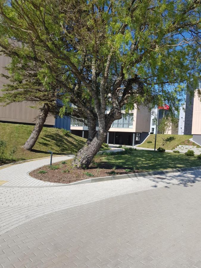 Apartamentai Su Vaizdu I Jura 帕兰加 外观 照片